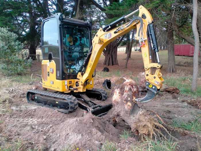 Photo of excavator removing tree stump